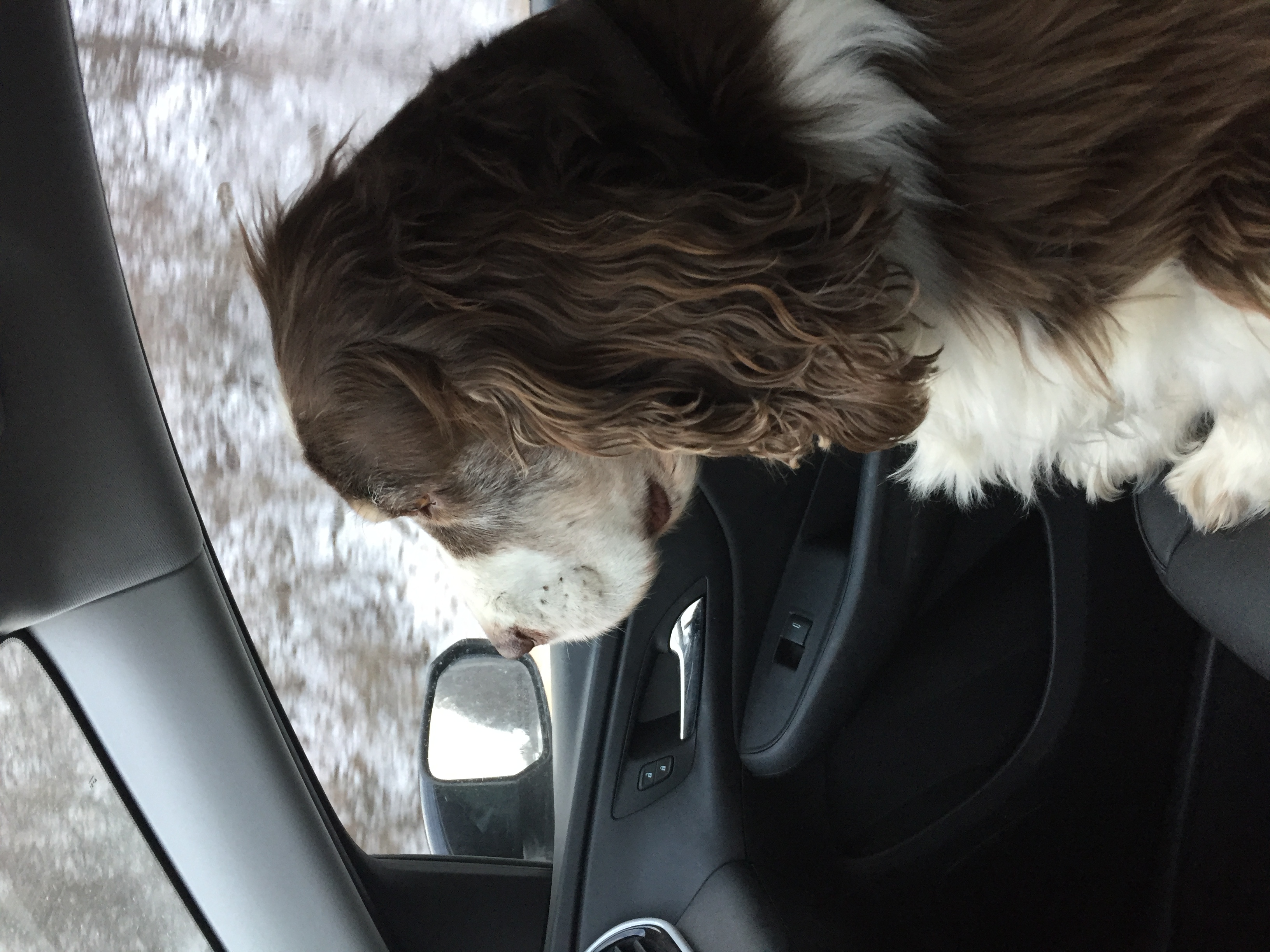 Doc helping me drive through snow